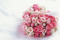 �t�@���^�W�[�v����